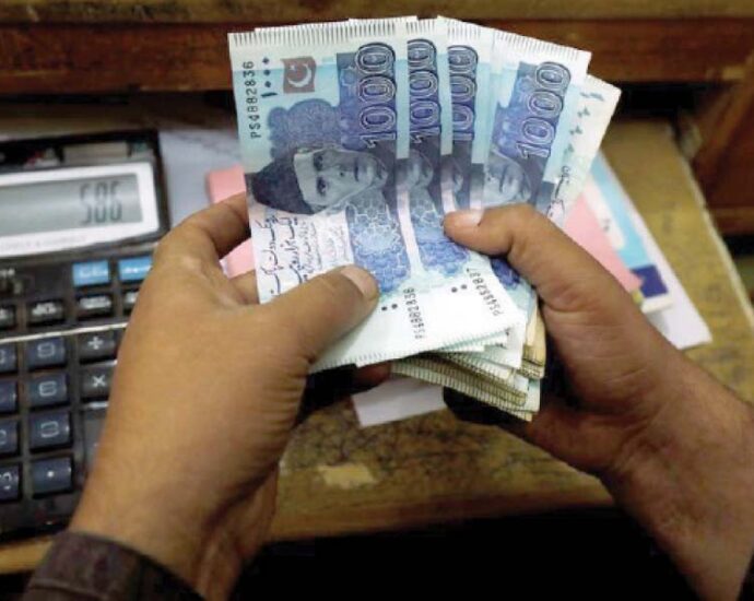 With rupee fall, economy slows