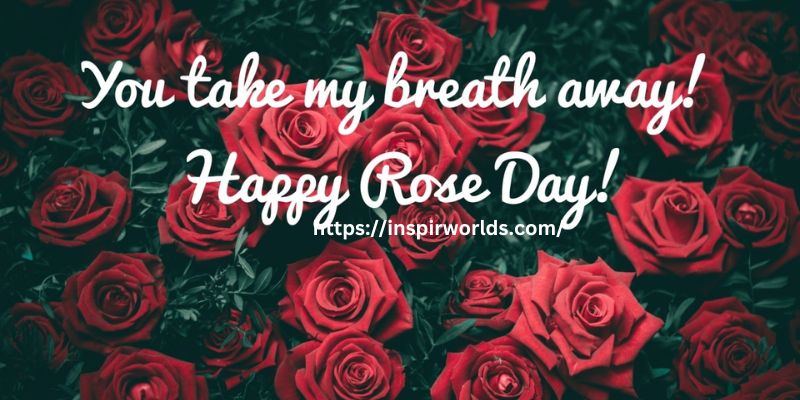 You are the most precious gem in my life. Happy Rose Day!