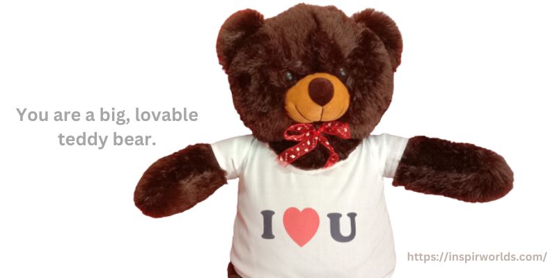 “You’re a big, lovable teddy bear.