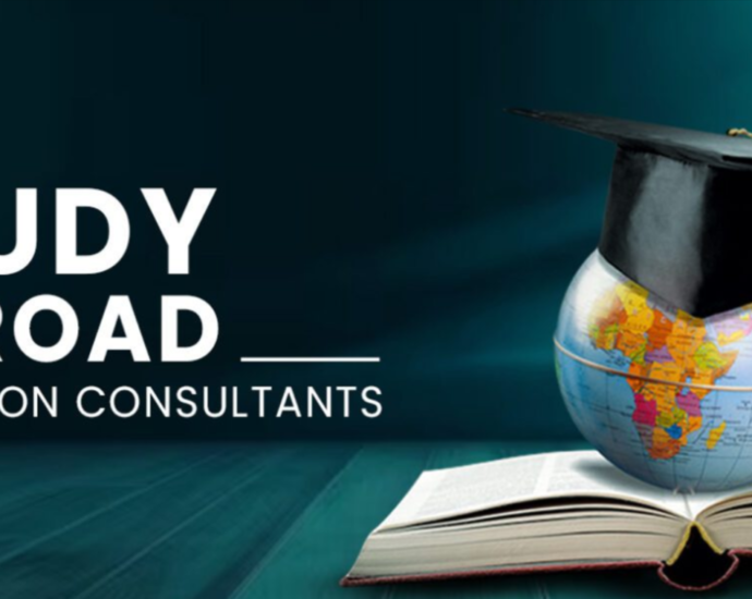 Study Abroad Consultant