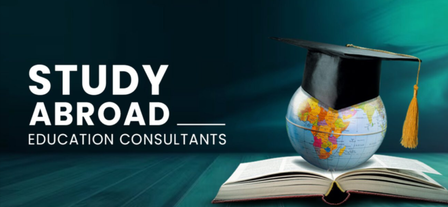 Study Abroad Consultant